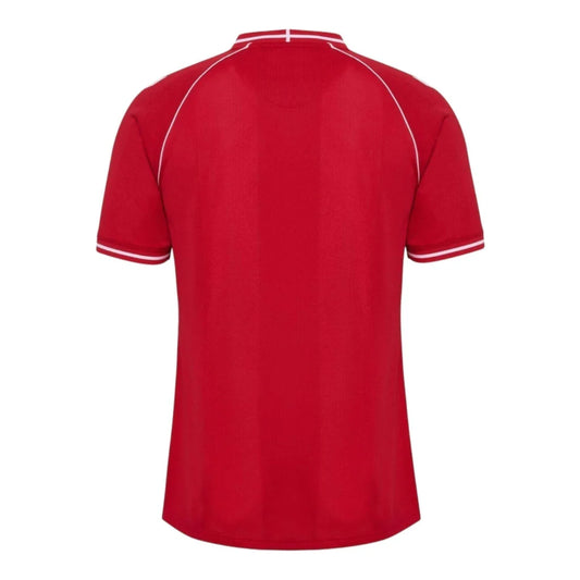 Denmark 26/27 Home Replica Shirt
