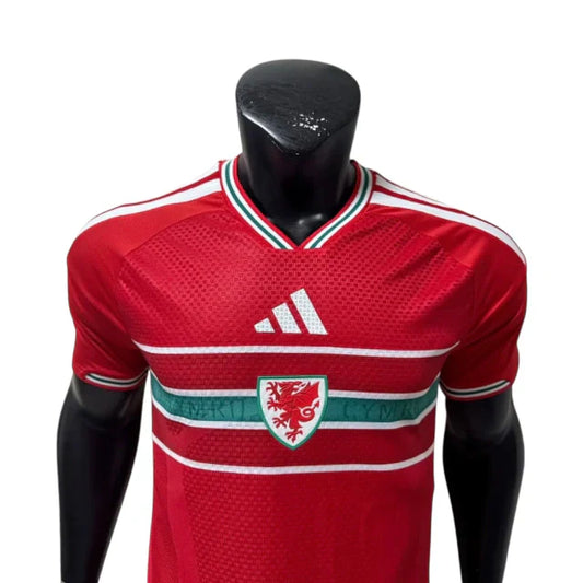 País de Wales 26/27 Home Match Shirt