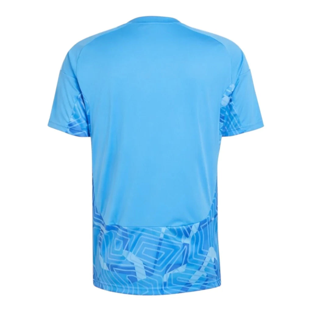 Algeria 26/27 Away Goalkeeper Shirt