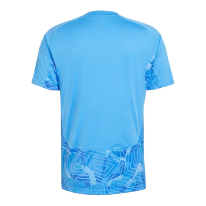 Algeria 26/27 Away Goalkeeper Shirt