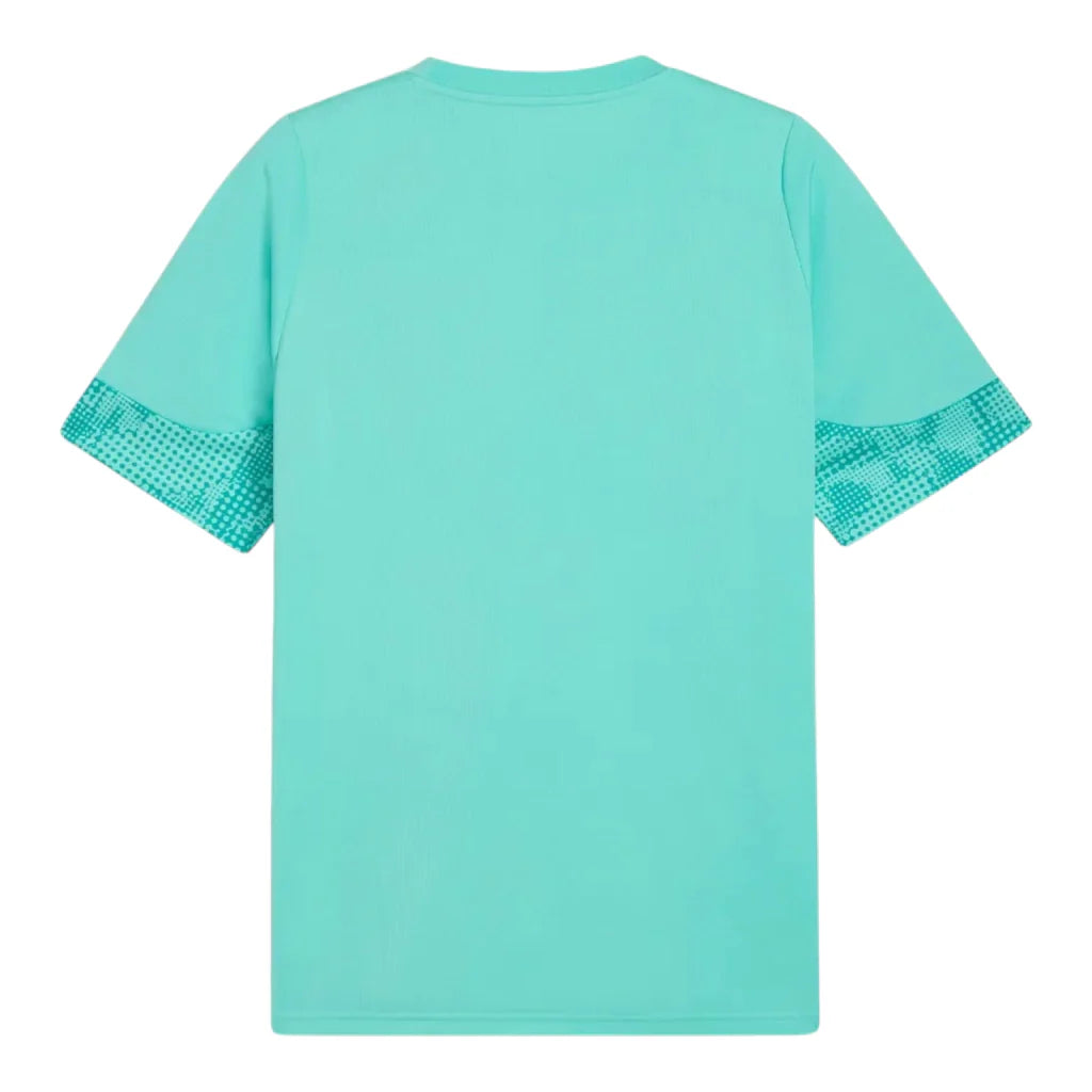 Palmeiras 26/27 Training Shirt