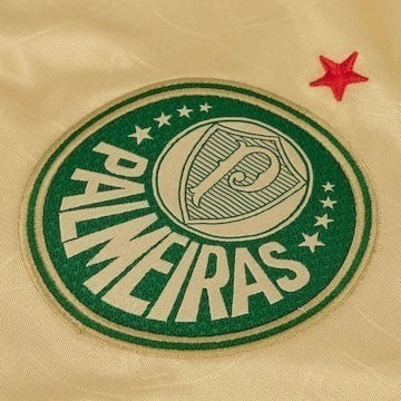 Shirt Palmeiras 24-25 - Third