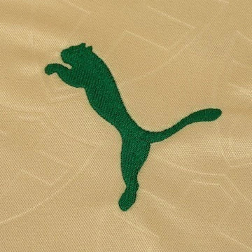 Shirt Palmeiras 24-25 - Third