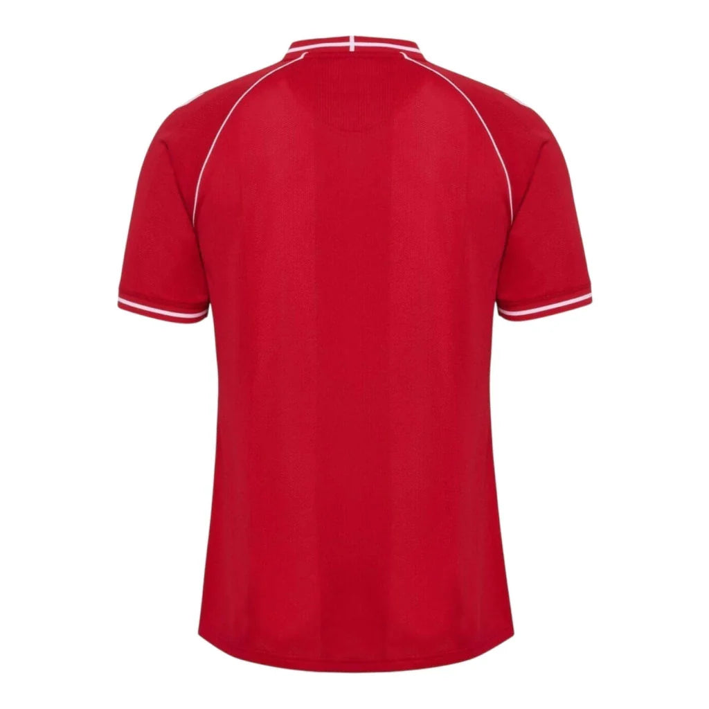 Denmark 26/27 Home Replica Shirt