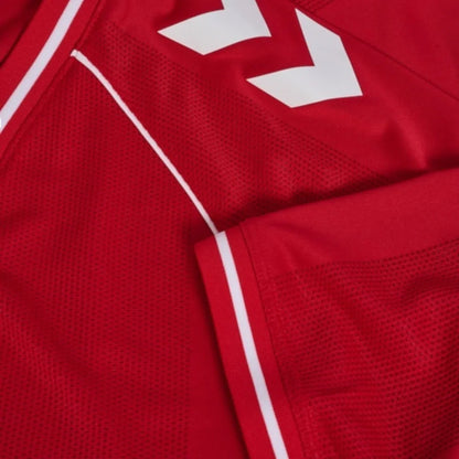 Denmark 26/27 Home Replica Shirt