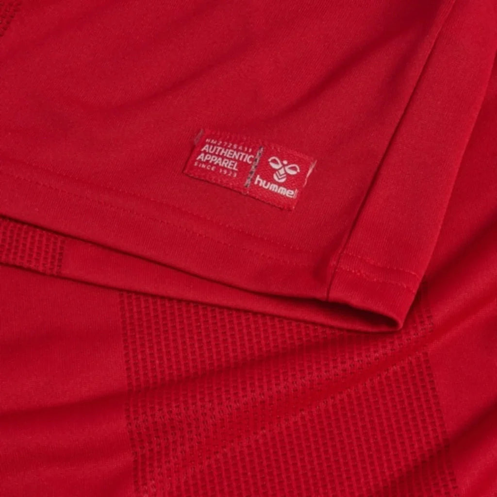 Denmark 26/27 Home Replica Shirt