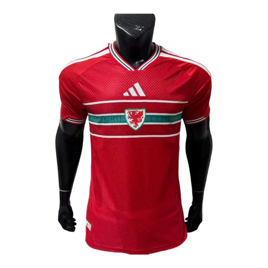 País de Wales 26/27 Home Match Shirt