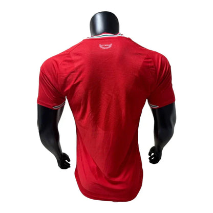 Shirt Seleção Wales Match 26-27 - Home