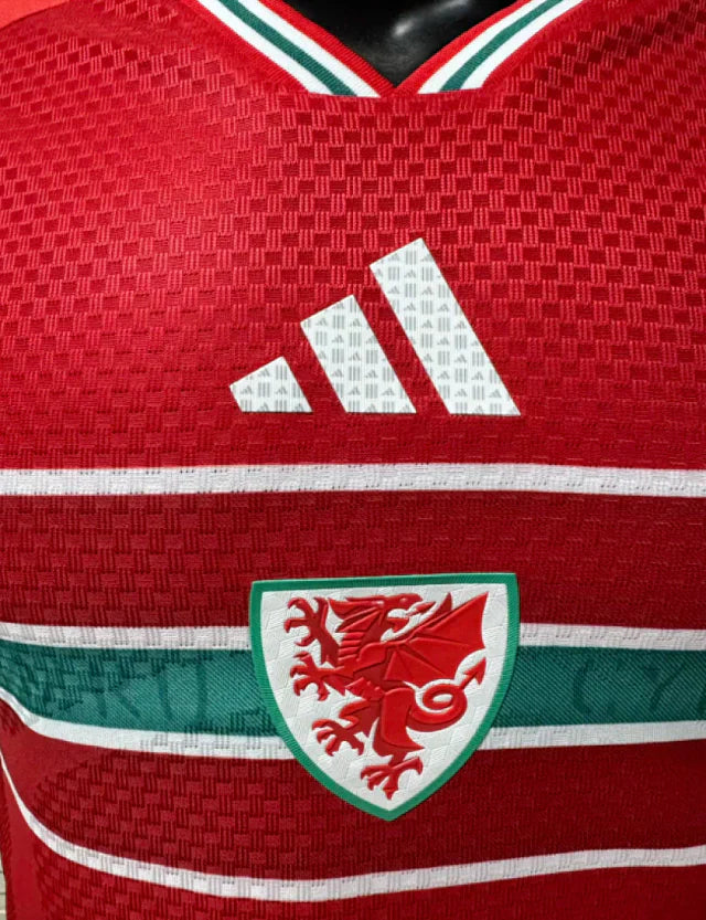 Shirt Seleção Wales Match 26-27 - Home