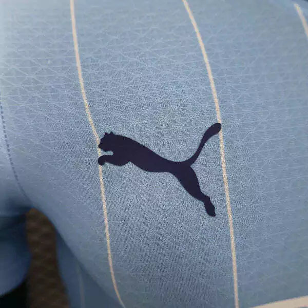 Shirt Manchester City Match 24-25 - Home