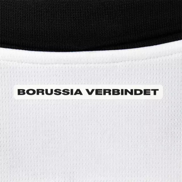 Shirt Borussia Dortmund 24-25 - Third
