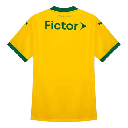 Shirt Palmeiras 25-26 - Third Women's