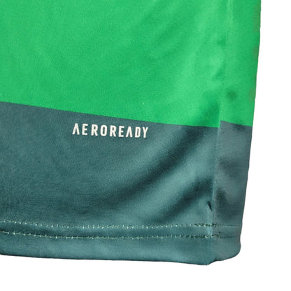 Retro Palmeiras 2010-2011 - Home