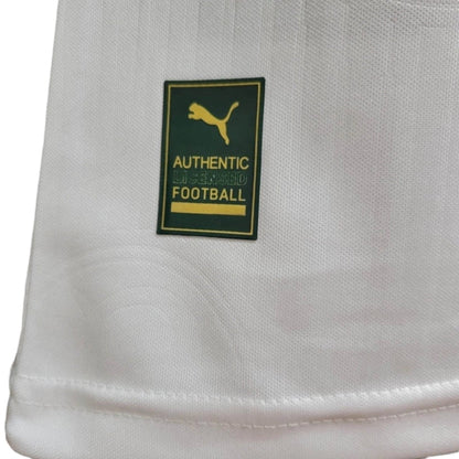 Shirt Palmeiras Match 24-25 - Edición Especial Especial