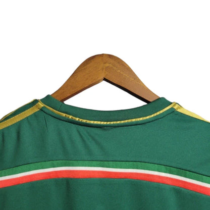 Palmeiras Edição 100th Anniversary 2014/2015 Retro Shirt