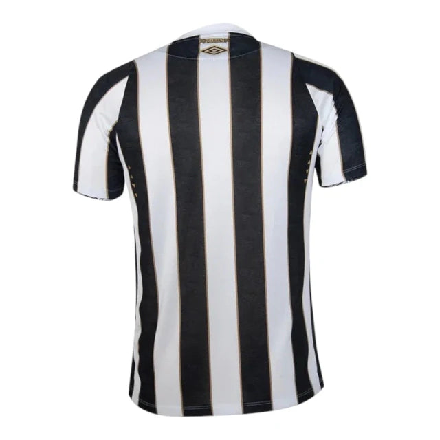 Shirt Santos 24-25 - Away