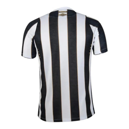 Shirt Santos 24-25 - Away