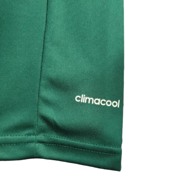 Palmeiras Edição 100th Anniversary 2014/2015 Retro Shirt