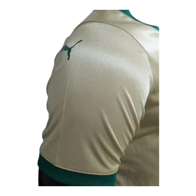 Shirt Palmeiras Match 24-25 - Third