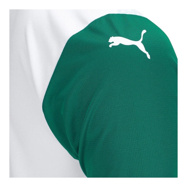 Shirt Palmeiras 25-26 - Away
