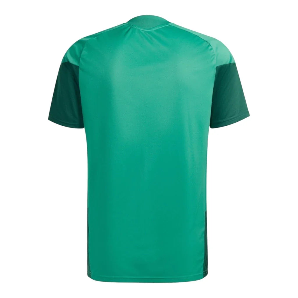 Algeria 26/27 Training Shirt