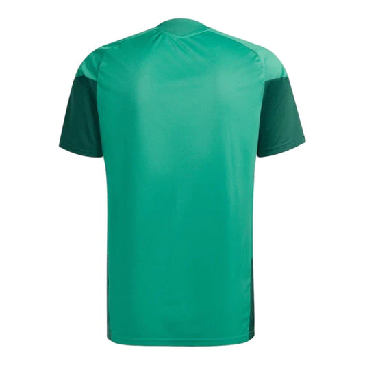 Algeria 26/27 Replica Shirt