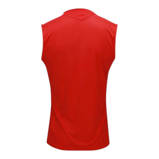 regata Internacional 26/27 Training Shirt