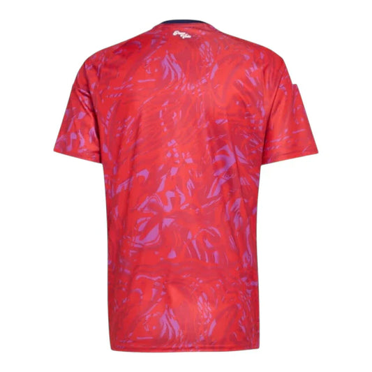 Costa Rica 26/27 Home Replica Shirt (Version 2)