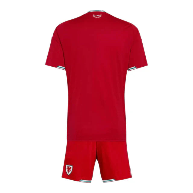 Conjunto Infantil Seleção Wales 26-27 - Home