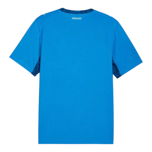 Iceland 26/27 Home Replica Shirt