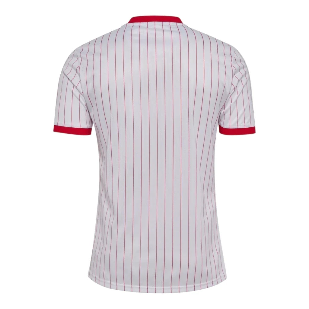 Denmark 26/27 Away Replica Shirt