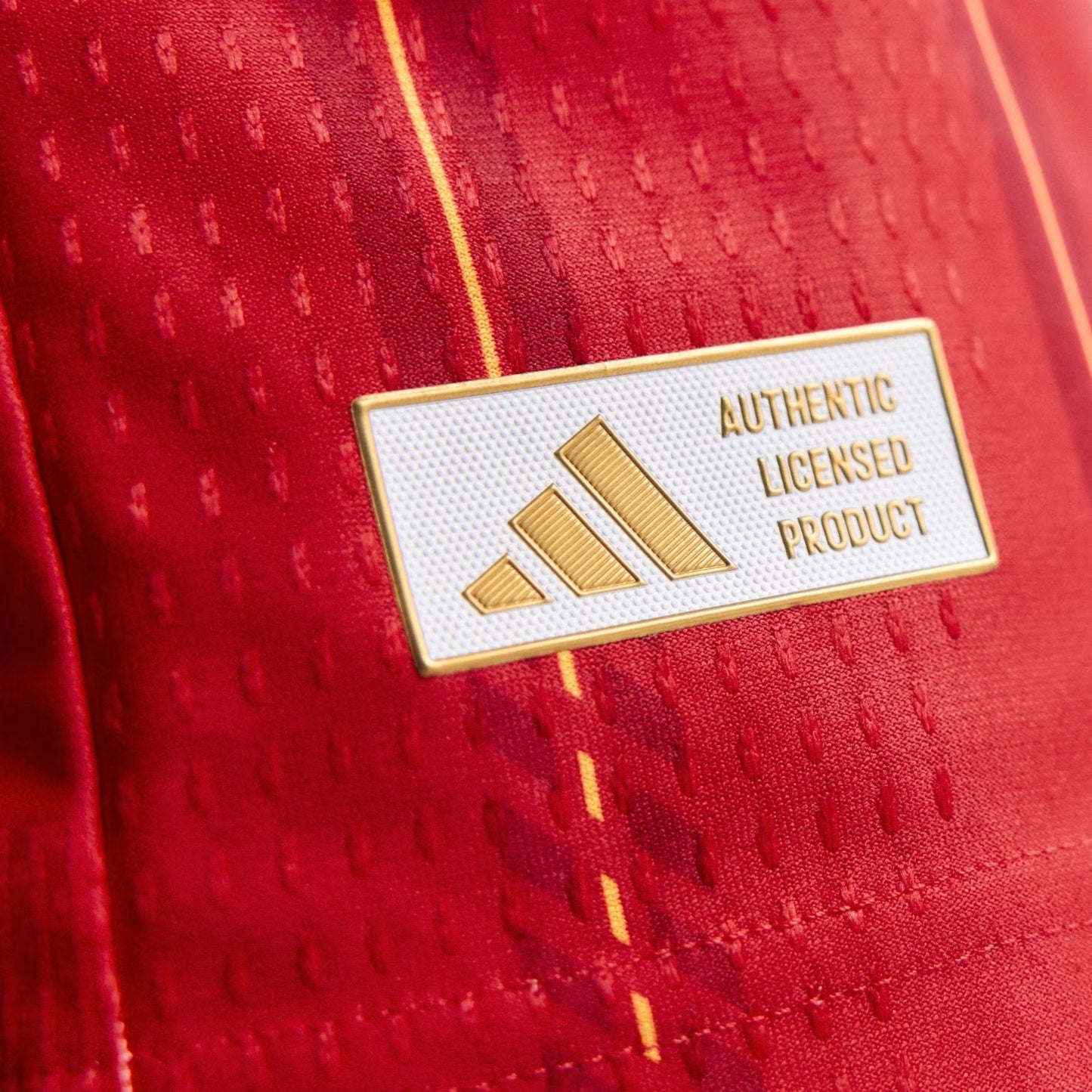 Spain 26/27 Home Match Shirt